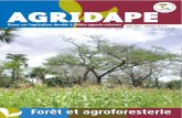 Juin 2011 - volume 27 n¡2roppa-afrique.org/gestcon/web/uploads/DocText/document/... · 2018-04-11 · Juin 2011 - volume 27 n¡2. 4 6 8 14 16 18 20 22 24 25 26 28 Agriculture durable