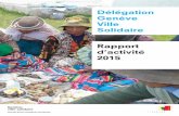 Délégation Genève Ville Solidaire Rapport d’activité 2015€¦ · La solidarité en Ville de Genève : les chiffres clés de 2015 4.1 Répartition géographique des projets