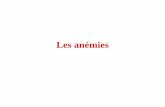 Aucun titre de diapositive - Académie de Versaillesblog.ac-versailles.fr/tsabmbimmunohematolmc/public/les_anemies_09-10.pdf1 le globule rouge 1.1 structure du GR 1.2 hémoglobine