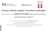 Cross-linked casein micelles hydrogel as carrier for ... · mV Ø ~ 160 nm ζ-potential 12.7 mV Size of CMs is not altered in the presence of the extract Ø ~ 1.6 µm Ø ~ 0.66 µm
