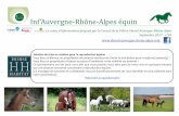 Inf’Auvergne-Rhône-Alpes équin · 4ème place pour le cantalien Sébastien ROUCHY et Obession Sky ! REGIONAL Point to Point - Vaumas (03) - 26 Août 2017 : Voir les différés