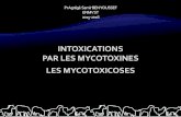 INTOXICATIONS PAR LES MYCOTOXINES : LES MYTOXICOSES · intoxications par les mycotoxines les mycotoxicoses 1 pr agrégé samir ben youssef enmv st 2015-2016
