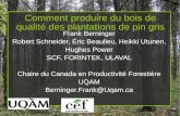 Comment produire du bois de qualité des plantations de pin ...chaireafd.uqat.ca/midiForesterie/pdf/20071127PresentationFrankBer… · Qualité pour l'industrie du papier •Résistance