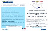 l’Initiative pour l’Emploi des Jeunesoccitanie.direccte.gouv.fr/sites/occitanie.direccte.gouv... · 2018-05-29 · • Des opportunités d’insertion professionnelle, grâce