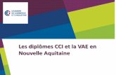 Les diplômes CCI et la VAE en Nouvelle Aquitaine · Employé Polyvalent du Commerce et de la Distribution Niveau IV Vendeur Conseiller Commercial Réceptionniste BAC Niveau III Attaché