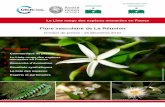 Flore vasculaire de La Réunion - IUCN · 2016-05-19 · faune de La Réunion, la démarche de la Liste rouge nationale s’est poursuivie avec l’évaluation des espèces de la
