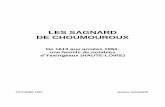LES SAGNARD DE CHOUMOUROUXsagnard.e-monsite.com/medias/files/sagnard-de-choumouroux1.pdf · Charles VII. Jean de Sagnard continue sa lancée des hauts faits d'armes de ses prédécesseurs.