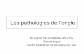 Les pathologies de l’onglemp3aya.com/LIVREF/F5/F005219.pdfLes pathologies de l’ongle Dr Sophie VERCAMBRE-DARRAS Dermatologue Centre Hospitalier de Boulogne-sur-Mer Dermatoses de