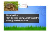 Bilan Plan d’action Campagnol Terrestre Auvergne …draaf.auvergne-rhone-alpes.agriculture.gouv.fr/IMG/pdf/1...RHONE‐ALPES 2016 ‐2017 Printemps 2018 Cantal 21 (248 stagiaires)