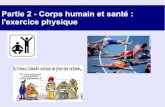 Partie 2 - Corps humain et santé : l'exercice physiqueblogpeda.ac-bordeaux.fr/svtpapeclement/files/2018/03/Diapo-Partie-2.pdfPartie 2 - Corps humain et santé : l'exercice physique
