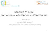 Module M1102: Initiation à la téléphonie d’entepisesassatelli/coursM1102_partie1_2019.pdf · Initiation à la téléphonie d’entepise L. Sassatelli ... numérique permet une