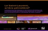 Le Saint-Laurent, artère pétrolière? - WWF-Canadaawsassets.wwf.ca/downloads/fds_snap_wwf_rapport_st_laurent_final… · Saint-Laurent. MAriNA À QUéBeC, PHOTO : ALeX ADDOUD
