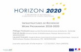 INFRASTRUCTURES DE RECHERCHE W PROGRAMME 2018-2020cache.media.education.gouv.fr/file/2017/69/9/... · INFRASTRUCTURES DE RECHERCHE WORK PROGRAMME 2018-2020 Philippe Froissard, Adjoint