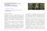 Les inventaires par échantillonnage · PDF file Note technique forestière de Gembloux n° 8 - FUSAGx - Mai 2002 1 Les inventaires par échantillonnage en futaie feuillue : une alternative