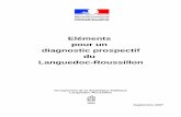 Eléments pour un diagnostic prospectif du Languedoc-Roussillon - Ministère de la ... · 2009-10-20 · Ce document fait la synthèse du séminaire de travail du 4 juillet 2007 organisé
