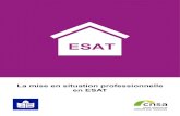 La mise en situation professionnelle en ESAT - CNSA...La mise en situation professionnelle en ESAT est un stage qui vous permet de découvrir comment se passe le travail dans un ESAT.