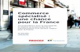 Commerce spécialisé : une chance pour la France · 5. Services aux magasins (nettoyage, gardiennage, travaux et maintenance technique, comptabilité, conseil, etc.), approvisionnement