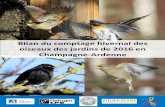 Bilan du comptage hivernal des oiseaux des jardins de 2016 ...files.biolovision.net/...Bilan du comptage hivernal des oiseaux des jardins de 2016 en Champagne-Ardenne LPO CHAMPAGNE-ARDENNE