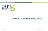 Comité Départemental 2015 - Essonne...KIT canicule 2015 disponible auprès de l’INPES Axe 4 : Capitaliser les expériences -Bilan réalisé après la saison estivale remonté au