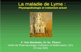 La maladie de Lyme...2001/05/22  · Stades successifs de la maladie de Lyme 1 peau érythème migrant acrodermatite chronique 2 articulations arthrite myalgie 3 SNC méningite encéphalite