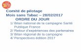 Comité de pilotage Mois sans Tabac 28/02/2017 ORDRE DU …...Mois sans Tabac –28/02/2017 ORDRE DU JOUR ... Reconnaissance de la campagne : « Au cours du dernier trimestre 2016,