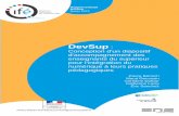 DevSup - EducTiceeductice.ens-lyon.fr/.../devsup/Rapport-DevSup.pdf · 1 Présentation de l’objet du rapport: le projet DevSup 1.1 Présentation du projet DevSup 1.1.1 Objectifs