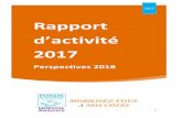 Rapport d’activité 2017 - mecenat-ch-argenteuil.frmecenat-ch-argenteuil.fr/wp-content/uploads/2019/10/Rapport-dactivite-2017-et...De bonnes raisons de faire un don : ... espaces