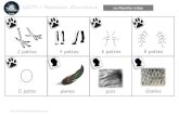 2 pattes 6 pattes 8 pattes - WordPress.com...DDM -portraits animaux -cartes attribut Author Marion Created Date 4/16/2012 3:01:26 PM Keywords () ...