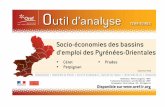 Socio-économies des bassins d’emploi des Pyrénées-Orientalesobservatoire.atout-metierslr.fr/datas/fichiers/articles/51/104.pdf · En dehors des villes plus peuplées et touristiques