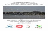 Le dérangement des oiseaux d’eau...Le dérangement des oiseaux d’eau: état de l’art et protocole de suivi applicable au Parc Naturel Marin Estuaire de Gironde - mer des Pertuis