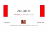 ApExposé - IGMdr/XPOSE2007/cmylle_apex/doc/Ap... · 2008-03-24 · 215 tables 200 objets PL/SQL environ 300 000 lignes de code 9. L’outil ApEx – Ses architectures • Deux architectures