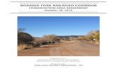ROARING FORK RAILROAD CORRIDOR - RFTA · PDF file ROARING FORK RAILROAD CORRIDOR CONSERVATION AREA ASSESSMENT PAGE 1 OCTOBER 28, 2016 - NEWLAND PROJECT RESOURCES, INC. I. Introduction,