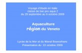 Aquaculture région du Veneto - Bourcefranc · La 2éme méthode de pêche se fait juste avant l’hiver quand l’eau refroidie. Les poissons cherchent a regagner la mer et sont
