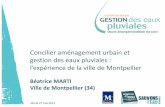 Concilier aménagement urbain et gestion des eaux pluviales · Un développement urbain très rapide 8ème ville de France : 260 000 habitants en 2012 La plus forte croissance en