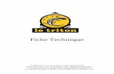 Fiche Tech Triton€¦ · ROLAND V-Mixer M-480 Boitier de scène Digital Snake S-4000S 32IN /12 OUT Face Enceintes D&B 10S-D (x4) Amplificateurs D&B D6 (x2) Caissons D&B 18S-Sub (x2)