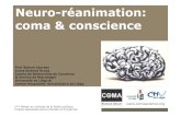 Neuro-rأ©animation: coma & neuroreanimation_sante_publique.pdf coma & conscience Prof Steven Laureys