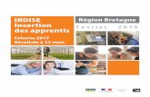IROISE Région Bretagne Insertion Février 2019 des apprentis · N'a pas trouvé d'emploi Echec à l'examen Besoin d'une qualification supplémentaire Par choix 3% 1% 7% 61% 28% 53%