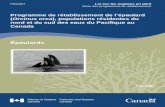 Programme de rétablissement de l’épaulard …...Programme de rétablissement de l’épaulard (Orcinus orca), populations résidentes du nord et du sud des eaux du Pacifique au