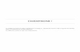 CHAMPAGNE!ww2.ac-poitiers.fr/sc_phys/IMG/pdf/sujet_cg_2016_s.pdfNous venons de voir qu’à l’ouverture de la bouteille, le champagne devient sursaturé en gaz carbonique. Il doit