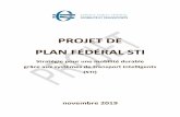 PROJET DE PLAN FÉDÉRAL STI - Belgium...Le plan fédéral STI vise à mettre en œuve une stratégie à long terme et à desse l’état des lieux des projets pertinents pour le niveau