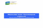 CABALOR - Calvados · 2016-11-25 · 3.2 FONCTIONNEMENT DE LA DECHETTERIE ... Version 2 Rapport n°15429711 / EV0060 RESUME NON TECHNIQUE 1 OBJET DU DOSSIER ... L’emprise de la
