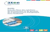 Accueil | ATEE - Guide Guide... · 2019-12-10 · 1 . Etat des lieux des solutions de financement et de garantie de la performance énergétique dans l’industrie. Avec le soutien