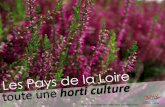 Source : FranceAgriMer- AND 2011 (résultats 2010) de Loire/Horti_Pa… · Pays de la Loire : un bassin dynamique en progression Étude des filières horticulture et pépinière du