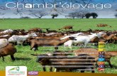 Le méteil grain : un aliment équilibré pour mes chèvres · 2018-08-30 · La conduite des broutards en fonction de la période de vêlage p. 5 Le méteil grain : un aliment équilibré