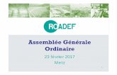 Assemblée Générale Ordinaire · 2020-02-18 · multiobjectif », ATOM, Lille, 06/2017 Demande : bureau@roadef.org 24. Interactions GDR RO ... • 23-09-2015 : Journée JFRO "Programmation