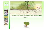 (120615-DIAPO-AILE-bois-énergie) - Ceremareseaux-chaleur.cerema.fr/wp-content/uploads/6-DIAPO...Comparaison des prix des énergies pour l'utilisation domestique, janvier 2012 (sources