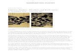 Fabienne Verdier : Rhythms and Reflections€¦ · Fabienne Verdier, Rythms and Reflections (Rythmes et Reflets), Diptyque vertical II /VII, 2016, acrylique et techniques mixtes sur