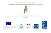 Conservation du Phragmite aquatique en Bretagne ... · Conservation du Phragmite aquatique en Bretagne – Déclinaison du plan d'actions – année 2014 . Diagnostic La Goden . Février