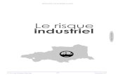Le risque industriel - Pyrénées-Orientales€¦ · Un risque industriel majeur est un événement accidentel se produisant sur un site industriel et entraînant des conséquences