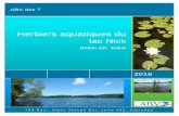 Herbiers aquatiques du lac Nick · portrait du bassin versant du lac, de de la qualité de l’eau ainsi que d’une description de la méthodologie utilisée. Les résultats sont
